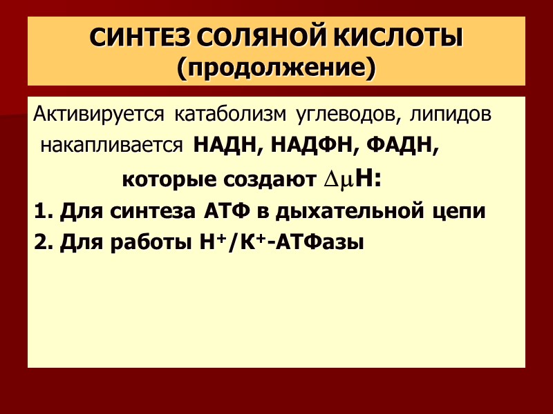 СИНТЕЗ СОЛЯНОЙ КИСЛОТЫ (продолжение) Активируется катаболизм углеводов, липидов  накапливается НАДН, НАДФН, ФАДН, 